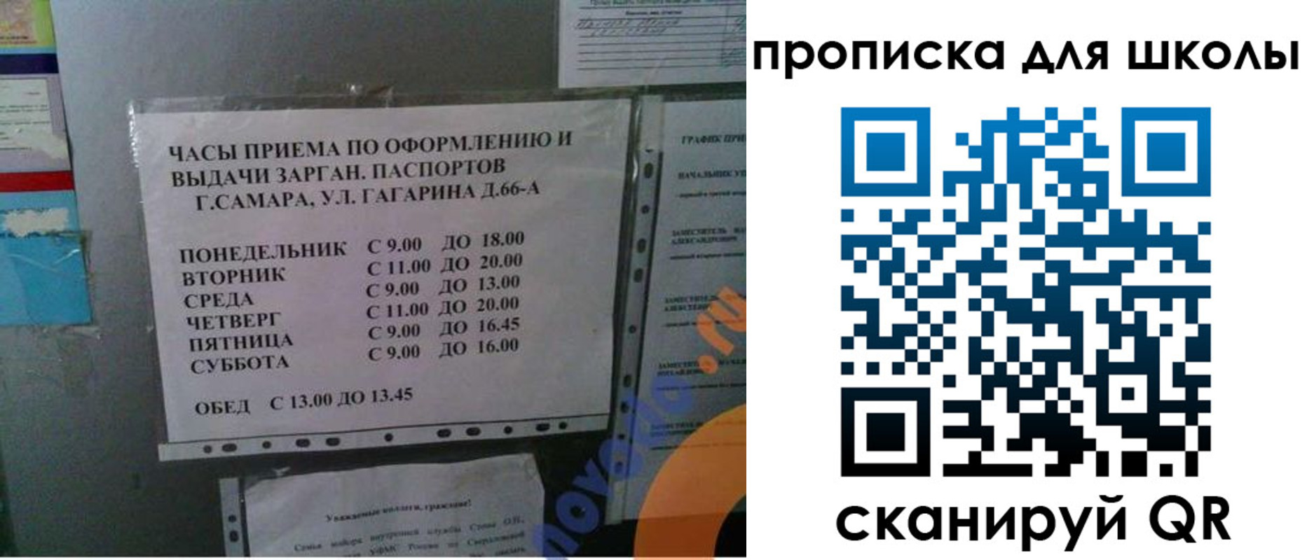 где прописаться в Лесном